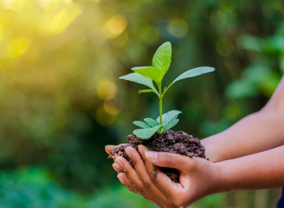 Girlguiding Sustainability