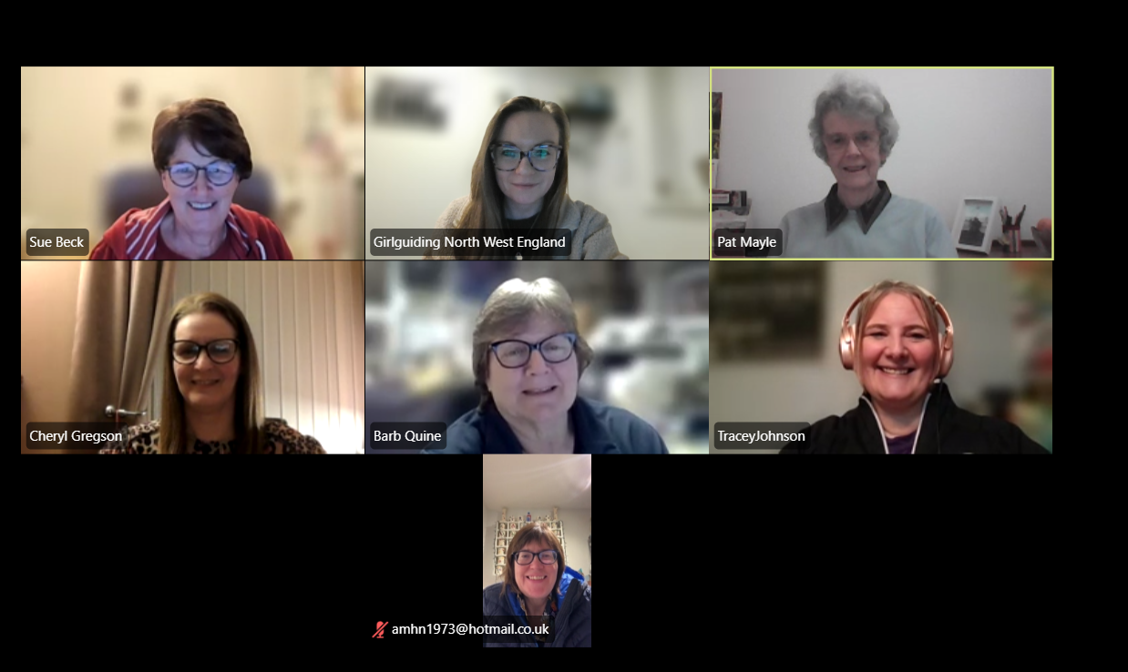 Image shows a screen grab of an Awards Committee meeting